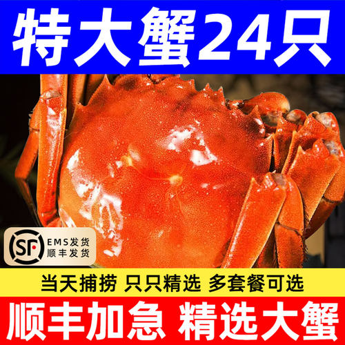 顺丰红膏蟹河蟹湖蟹大闸蟹鲜活