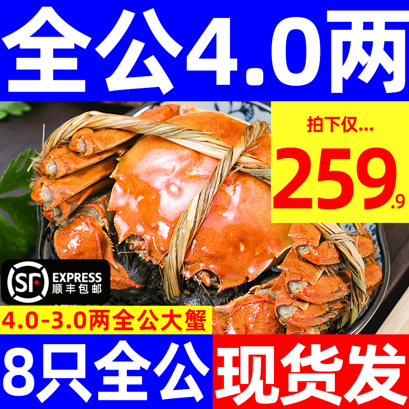 4.0两全公大闸蟹鲜活阳澄湖镇螃