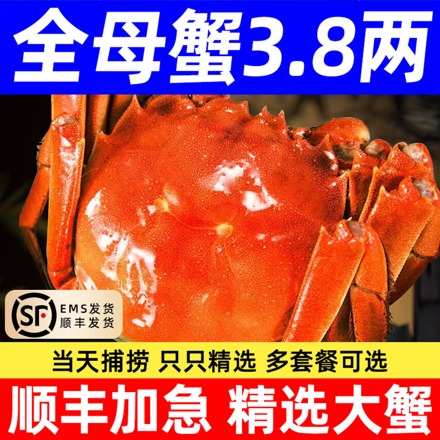 顺丰大闸蟹鲜活红膏螃蟹河蟹全母图片