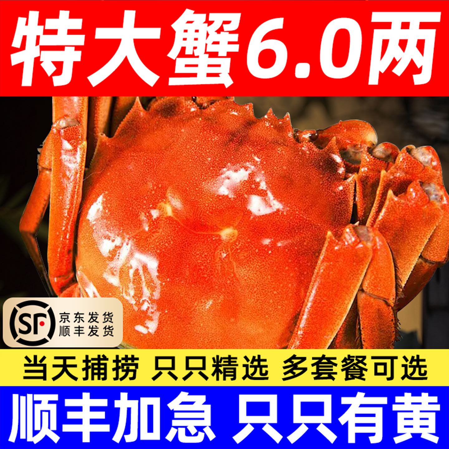 顺丰阳澄全母湖蟹大闸蟹爆黄螃蟹