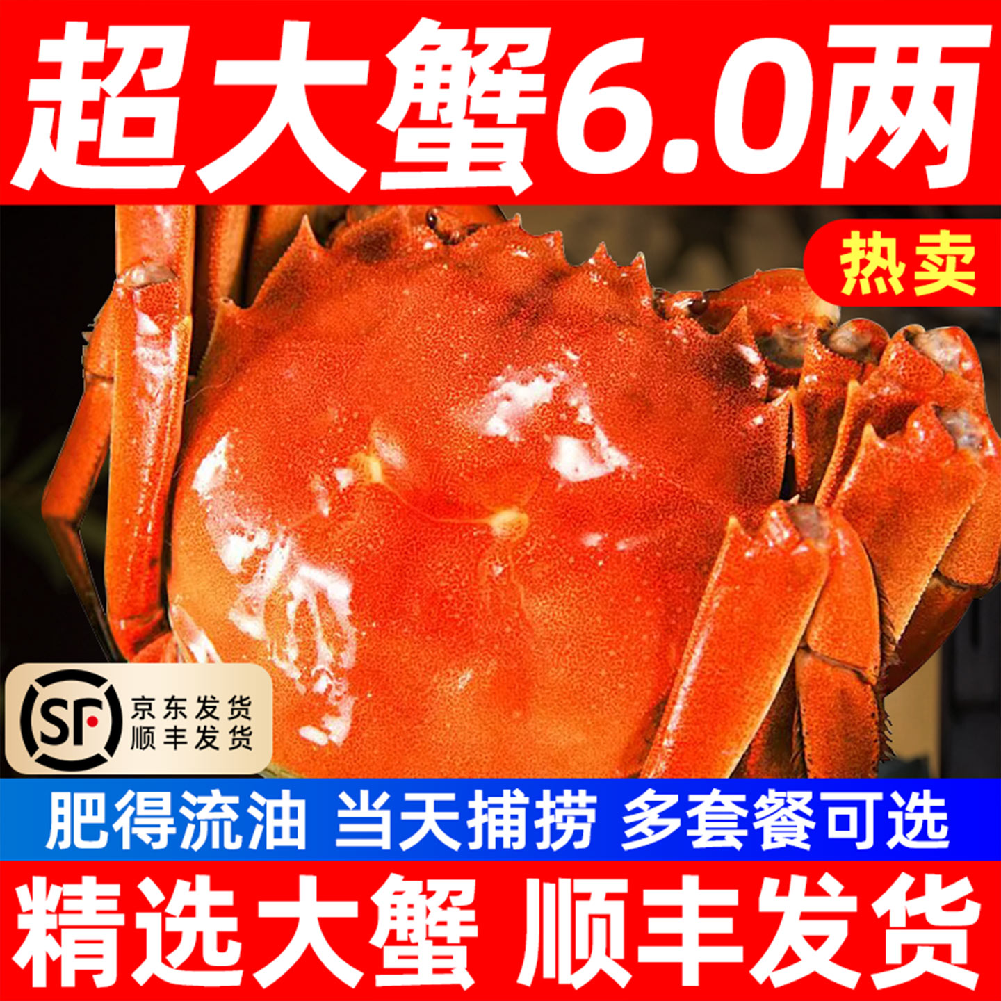 顺丰螃蟹阳澄红膏大闸蟹河蟹湖蟹