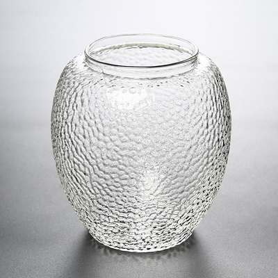 创意水培植物玻璃花瓶透明玻璃水养绿萝花盆容器插器皿桌面小摆件