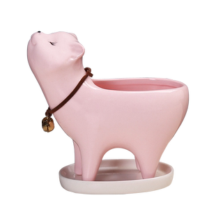 卡通可爱多肉花盆陶瓷小号植物创意个性简约包邮小拇指盆迷你花器