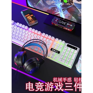机械手感游戏笔记本台式 双飞蛇键盘鼠标套装 机电脑通用有线USB发