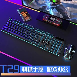 机械手感发光游戏电脑有线USB电脑通用办公家 双飞蛇键盘鼠标套装