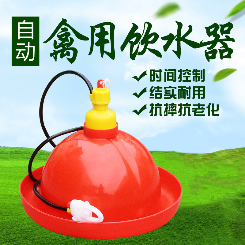 养殖鸡鸭鹅自动饮水器