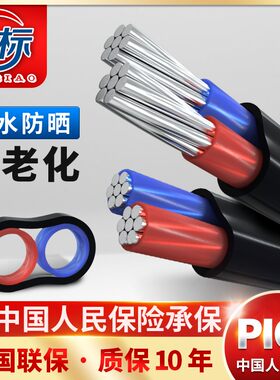 国标护套线2芯铝线电线6 10 16 25平方双芯铝线防老化铝芯线户外