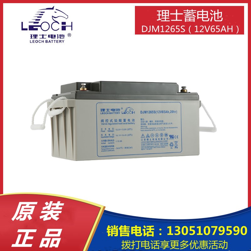 LEOCH 理士 DJM1265S UPS不间断电源 12V65AH EPS电源铅酸蓄电池