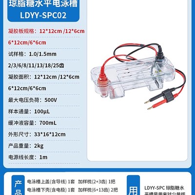 琼脂糖水平垂直电泳仪核酸蛋白凝C胶WB转印电泳槽电源凝胶实验室