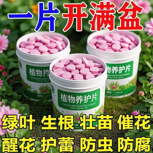 植物通用型营养缓释片肥料氮磷绿植种花养花肥家用果蔬盆栽营养液