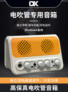 DK电吹管专用小音箱迷你扩音器便携乐器专用蓝牙音响户外吉他弹唱