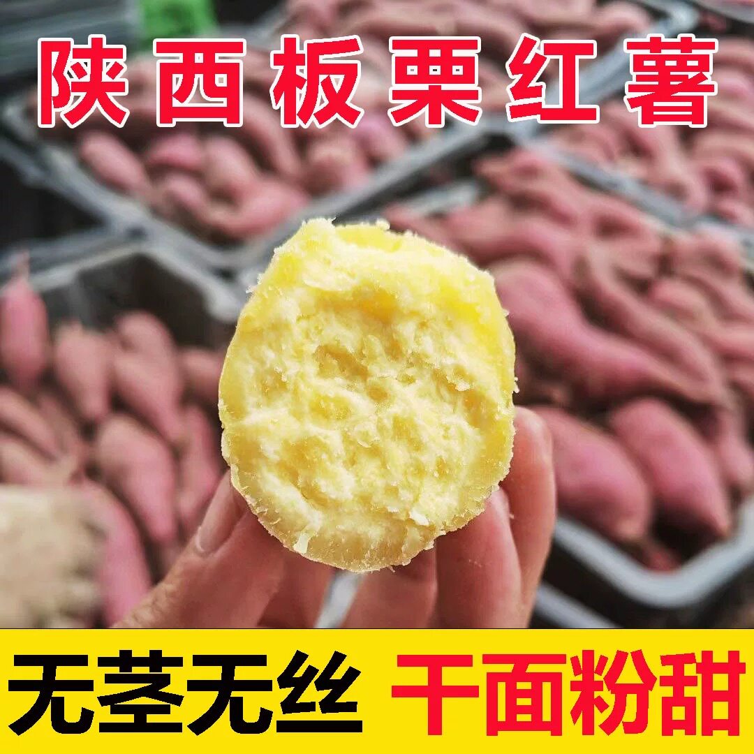 大果头茬现挖陕西临潼板栗红蜜薯沙地新鲜番薯农家小香薯甜地瓜薯