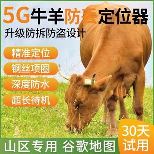 牛羊追踪神器gps定位器山区放牧专用订位5G卫星动物防丢追跟定仪