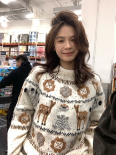 一勺甜 hers简约贵气感复古费尔岛提花毛衣女冬慵懒针织上衣92841