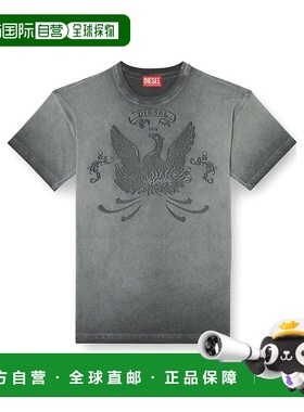 DIESEL 男士T恤 A193730DLBW93R AW2025 灰色男装