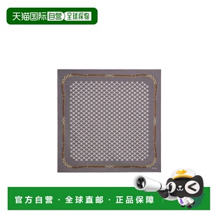 CELINE 女士围巾 2AWB60ZV110GE CO 灰色 徽标方巾