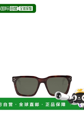 CELINE 男士太阳镜 4S248CPEB19TR AW2024 棕色