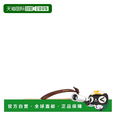 香港直邮SAINT LAURENT 女士凉鞋 869737DWE00603【付后1h可退】