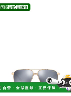 VERSACE 男士太阳镜 VE21741002Z3 SS2022 灰色 Versace VE2174 g