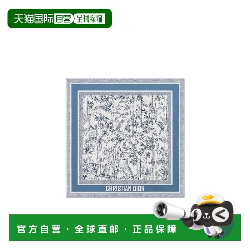 DIOR 女士围巾 54TJB070I604C530 SS2025 灰色 图案丝巾