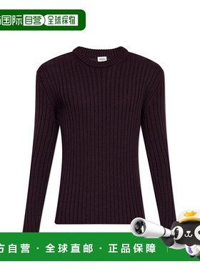 TOD'S 男士针织衫 X8MC1518910XJM0R802 AW2025 紫色