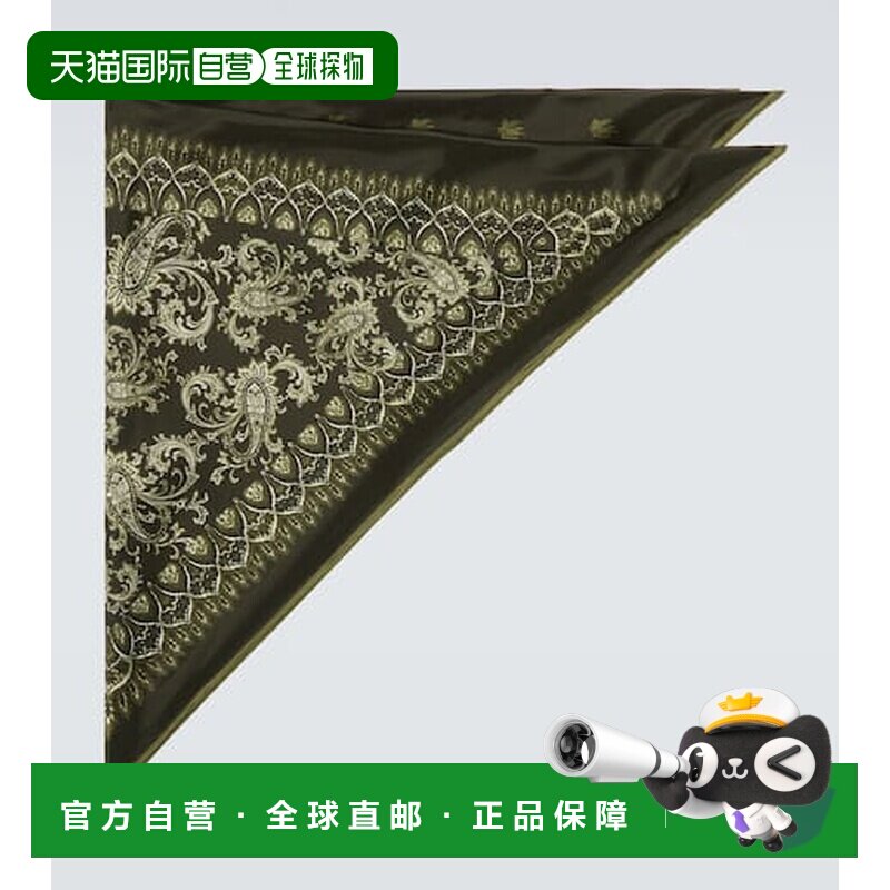 Etro艾特罗男士领带/领结图片