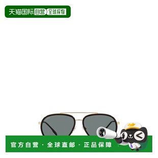 BE3125101781 太阳镜 AW2023 灰色 BE3125 BURBERRY Burberry 男士