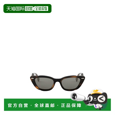 FENDI 女士眼镜 FE40171I53A AW2025 灰色 几何框太阳镜