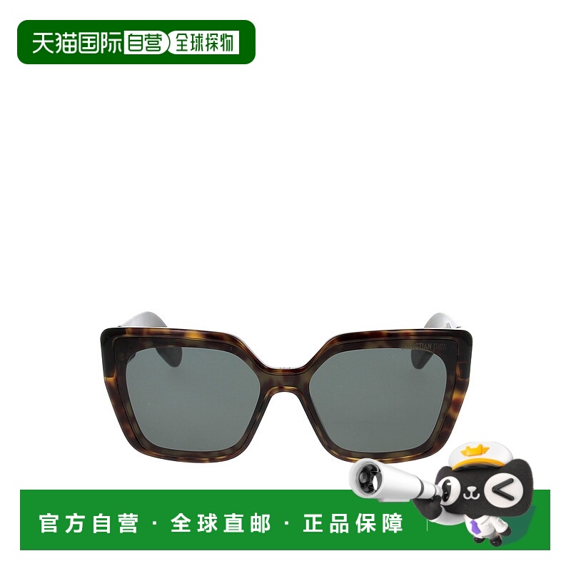 1h可退 DIOR 男士太阳镜 LADY9522S2I20C0 SS2024 灰色 徽标太阳