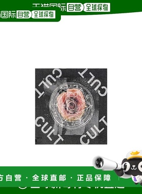 ALEXANDER MCQUEEN 女士围巾 337560REG021063 SS2021