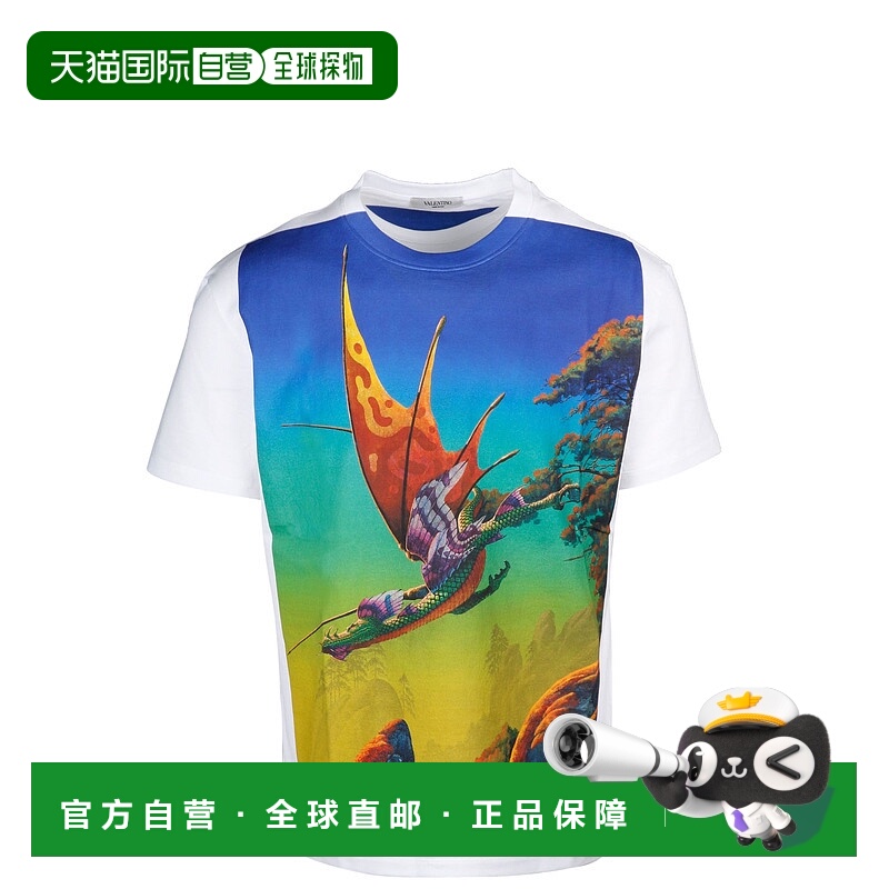 1h可退 VALENTINO 男士T恤 TV0MG06L69184M AW2023 花色 VALENTIN