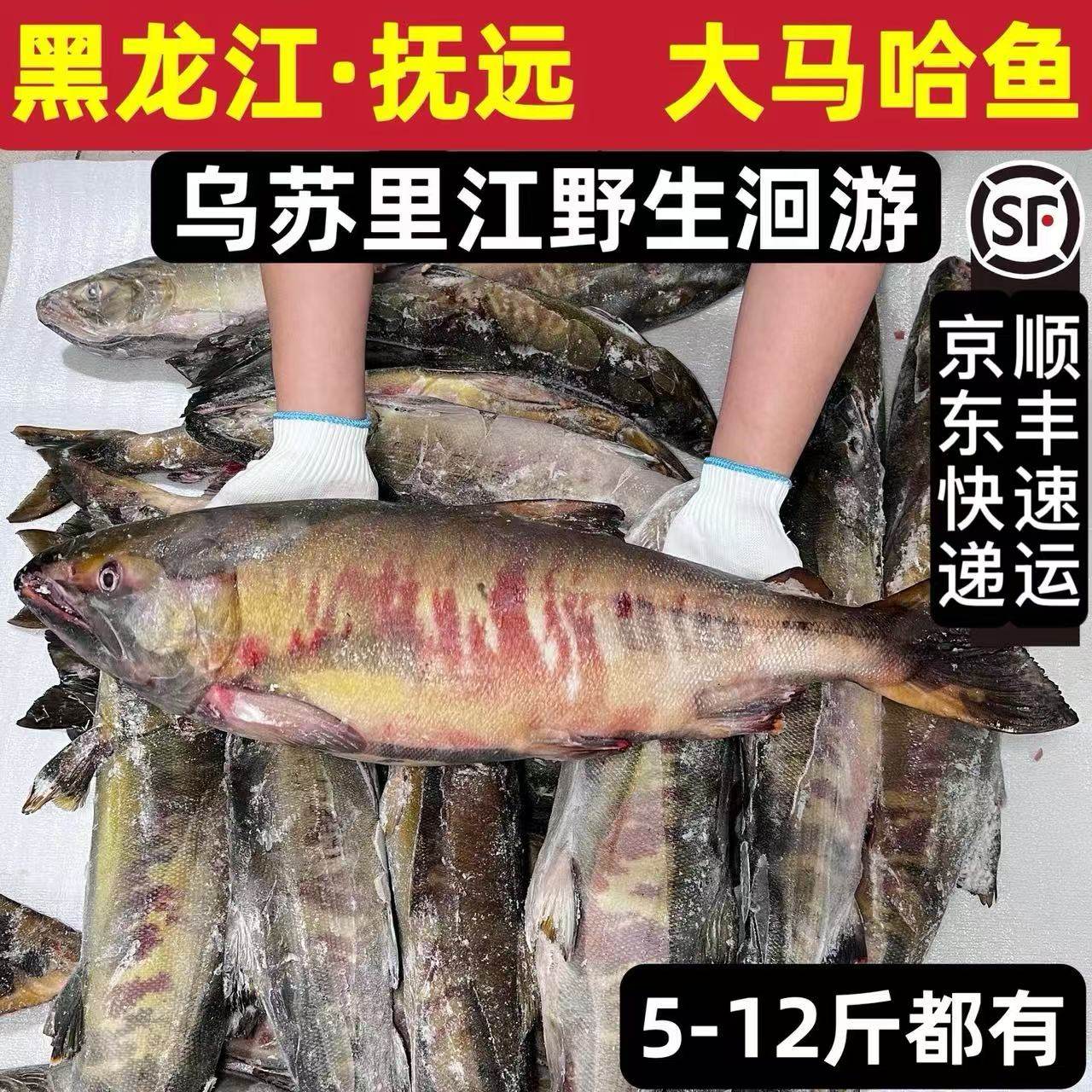 大马哈鱼国产冷冻无盐新鲜洄游淡水整条黑龙江佳木斯抚远东北特产,水产肉类/新鲜蔬果/熟食,淡水鱼类,淘宝优惠券,粉丝福利购,淘宝优惠卷