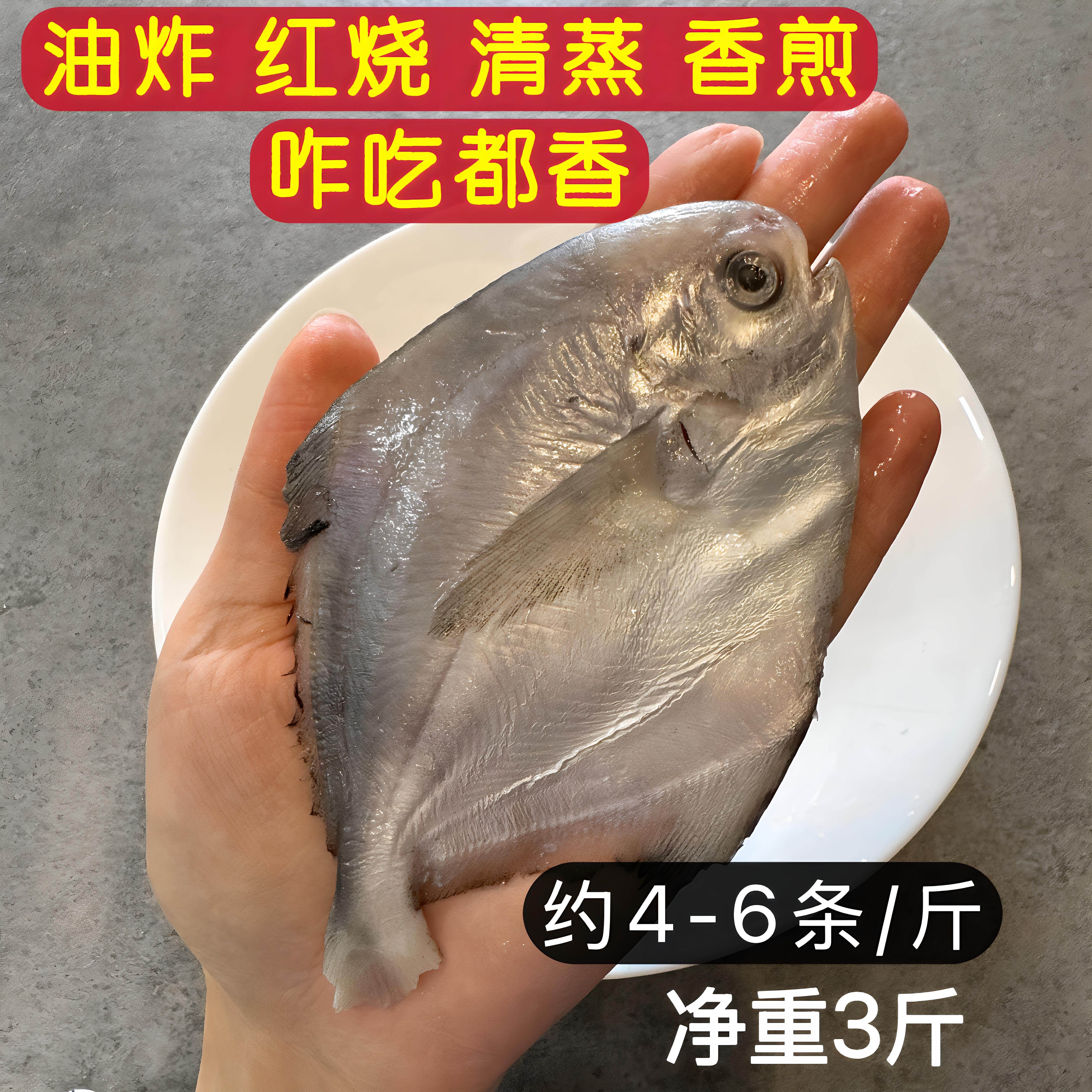 银鲳鱼鲜冻小鲳鱼平鱼扁鲳鱼海鲜海捕深海鱼小镜鱼晶鱼非金鲳鱼