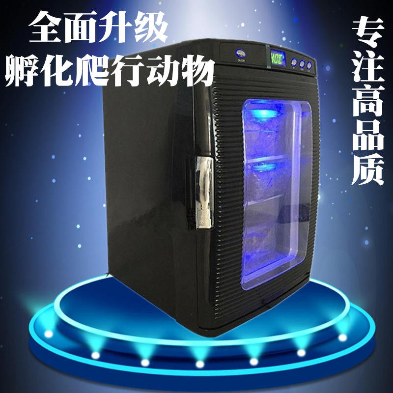 爬虫孵化器乌龟变色龙蜥蜴