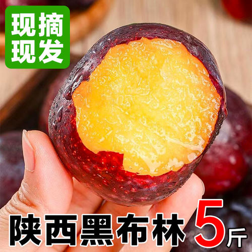 黑布林李子5斤新鲜黄肉脆李
