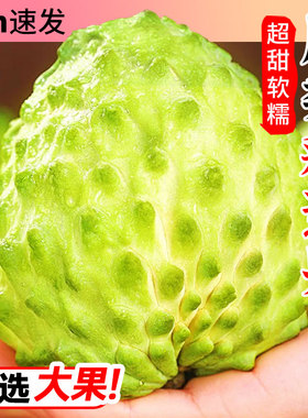 泰国凤梨释迦果5斤大果现摘新鲜水果释迦摩尼果林檎孕妇当季整箱3