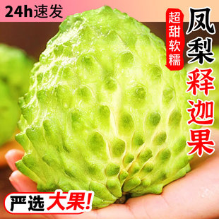 泰国凤梨释迦果5斤大果现摘新鲜水果释迦摩尼果林檎孕妇当季整箱3