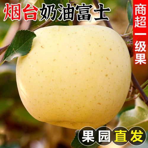 新鲜山东烟台奶油富士苹果津果鲜