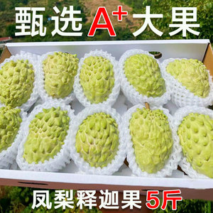 广西释迦果5斤新鲜凤梨牛奶佛头果现摘番荔枝释迦牟尼果整箱包邮