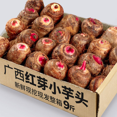 广西荔浦红芽芋现挖小芋仔毛芋头小香芋牛奶芋仔农家蔬菜粗粮粉糯