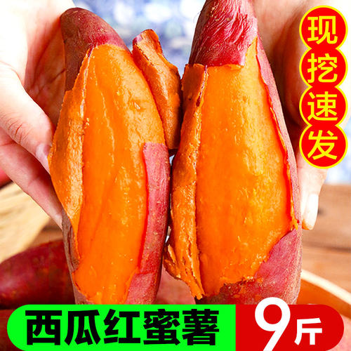 津果鲜红薯农家自种西瓜红红薯
