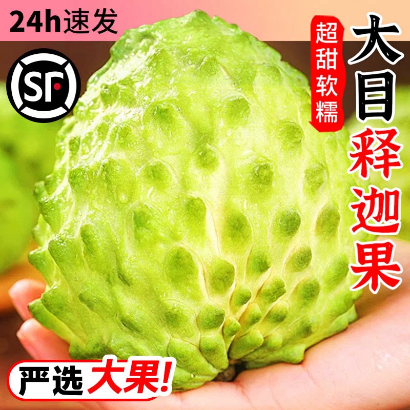 泰国凤梨释迦大果现摘新鲜图片