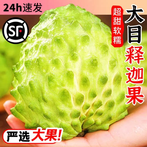 泰国凤梨释迦大果现摘新鲜
