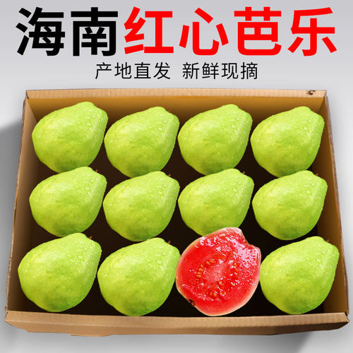 海南番石榴红心芭乐津果鲜