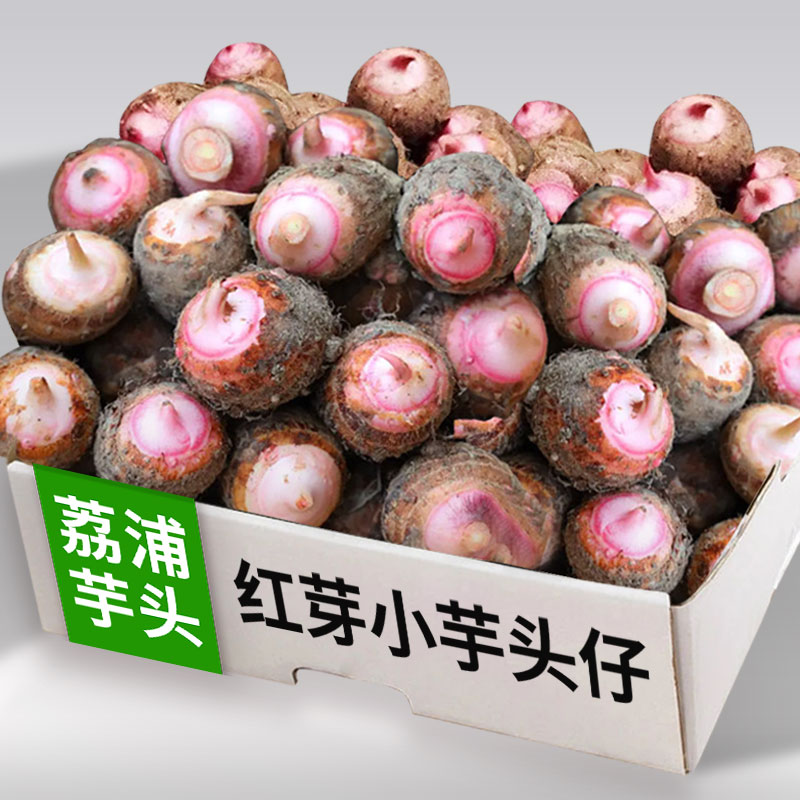 广西荔浦红芽芋粉糯香新鲜现挖小香芋艿毛芋子农家牛奶小芋头仔9
