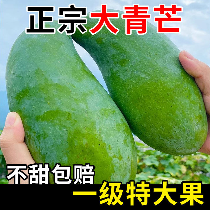 广西青芒果生吃脆甜芒果新鲜水果芒果花酸野青芒生吃脆甜整箱9斤