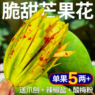 广西青芒果生吃脆甜芒果新鲜水果芒果花酸野青芒生吃脆甜9斤 包邮