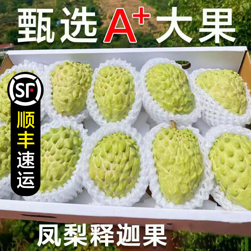 新鲜释迦果3斤新鲜凤梨牛奶佛头果现摘番荔枝释迦牟尼果整箱包邮