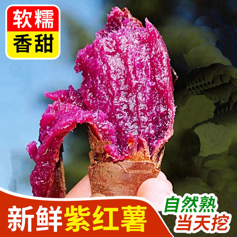 新鲜广西紫薯板栗红薯番薯地瓜蜜薯糖心地瓜烟薯香薯蔬菜农家自种