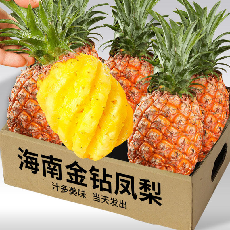海南9斤当季金钻凤梨香水大菠萝手撕菠萝无眼树上熟新鲜水果现摘